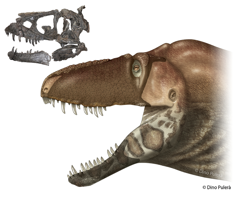 Illustration for article titled This Tyrannosaur Used a 'Sixth Sense' to Hunt Its Prey